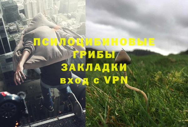 ешки Армянск
