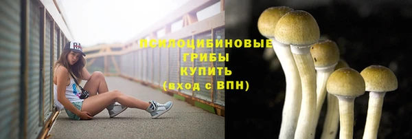 гашиш Арсеньев