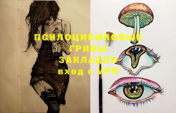 соль ск Аркадак